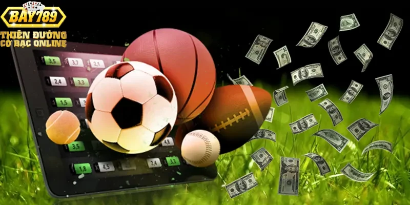 Giới thiệu chung về thể thao Bay789