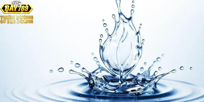 Lưu ý và kinh nghiệm khi áp dụng giấc mơ trong cá cược